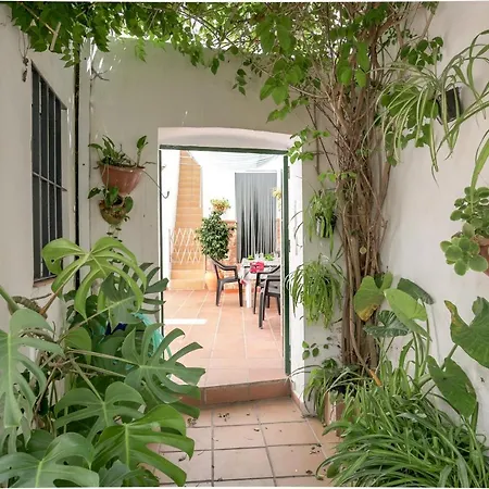 Casa Joaquina * Conil De La Frontera